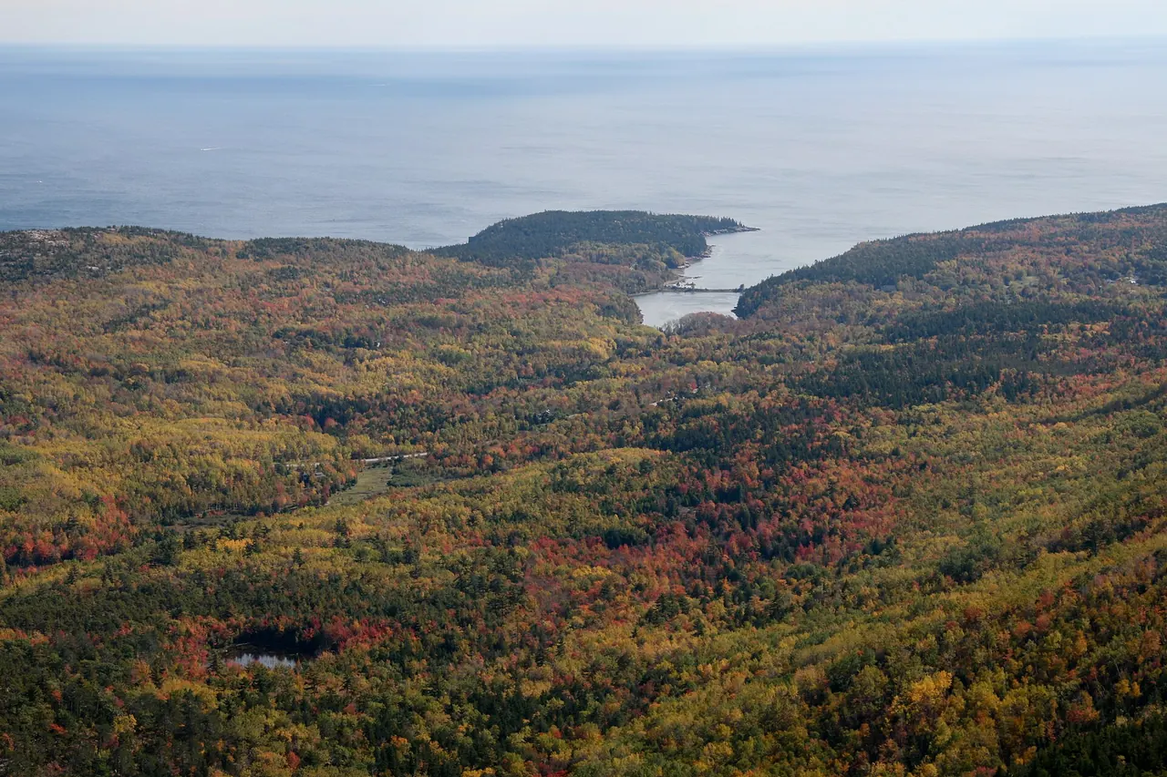 Otter Cove and the wooded granite coastline of Mount Desert Island seen from above