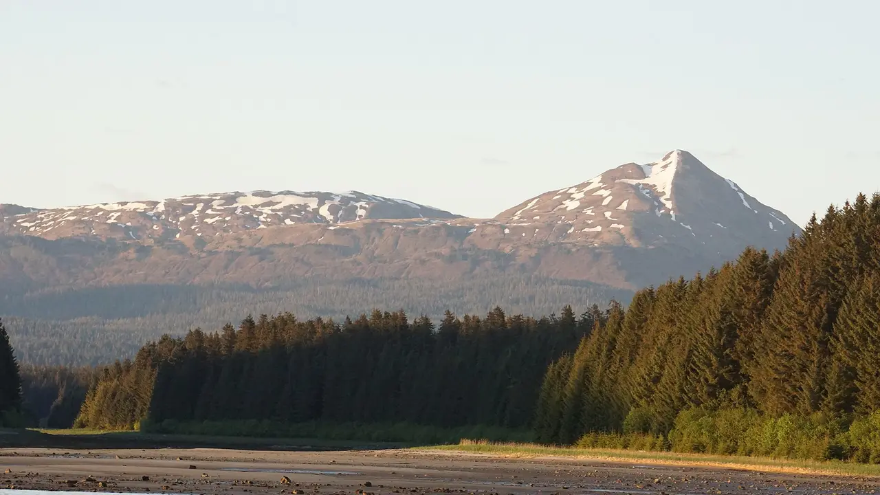 A gravel beach and spruce forest under steep mountains in Glacier Bay National Park