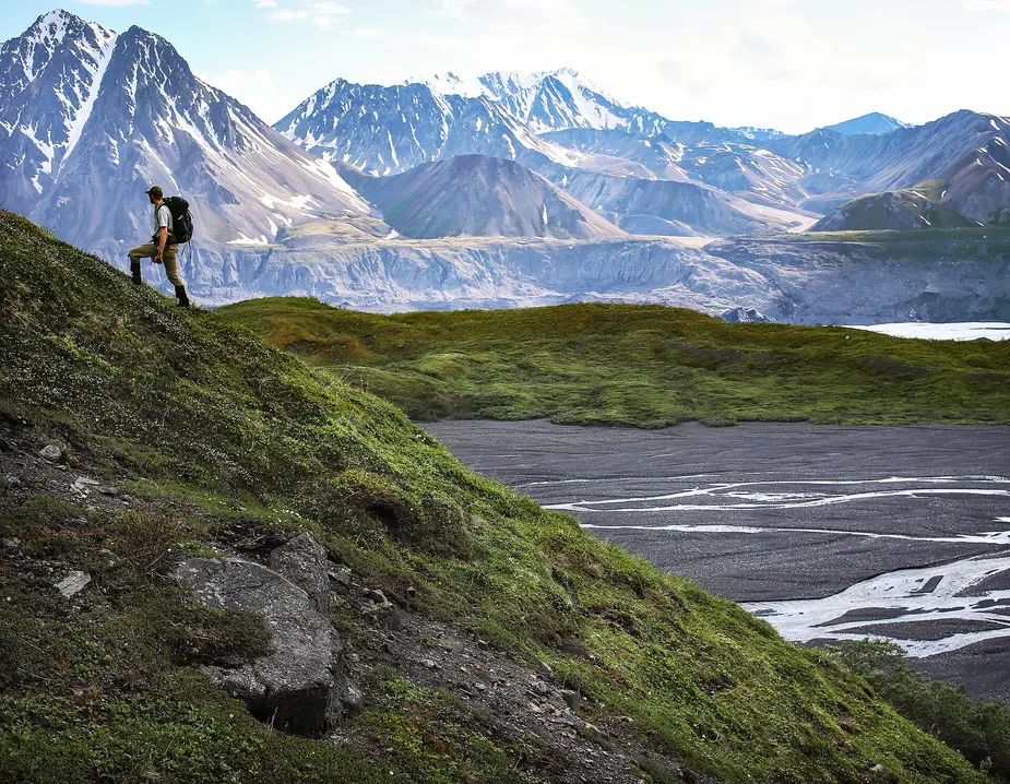 A hiker crossing open tundra in the backcountry of Denali National Park in June