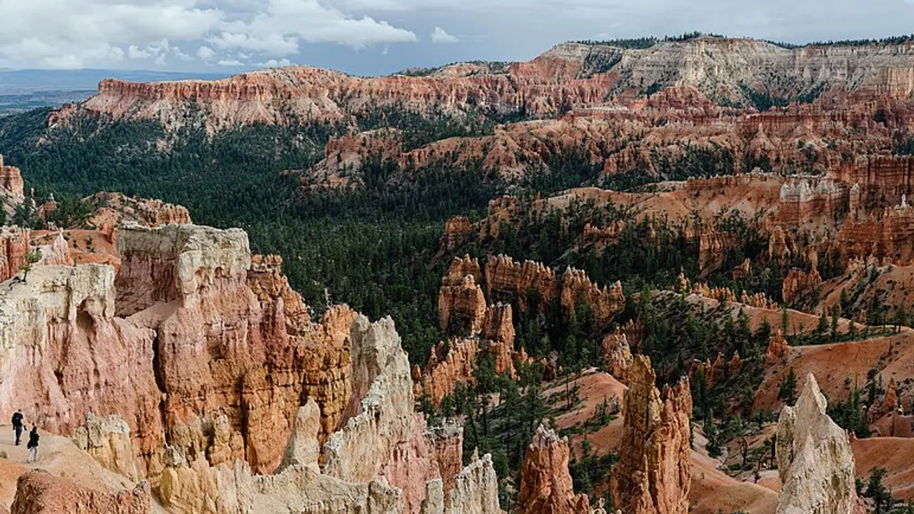 Wide view of the Bryce Amphitheater hoodoos from Sunrise Point under a clear sky