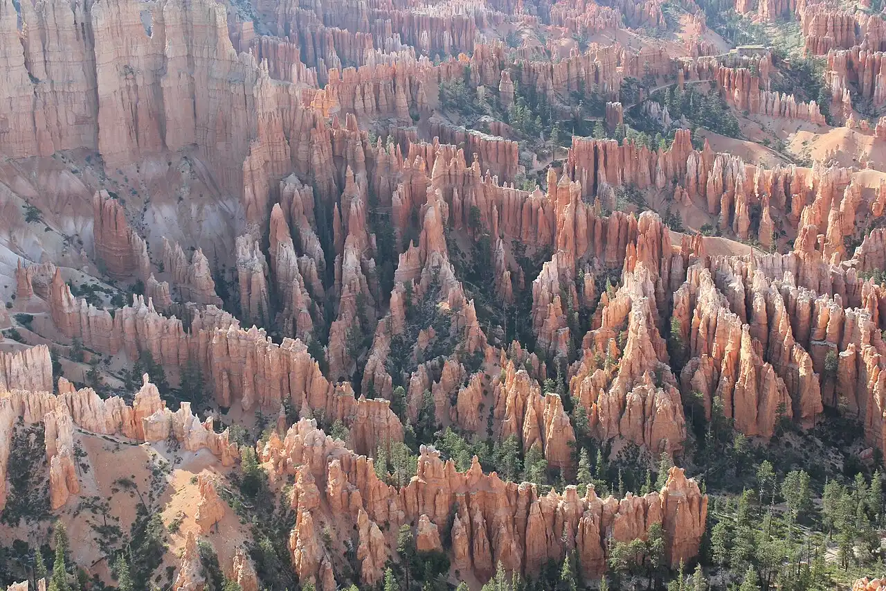 Close view of orange hoodoo spires rising from the Bryce Canyon amphitheater floor