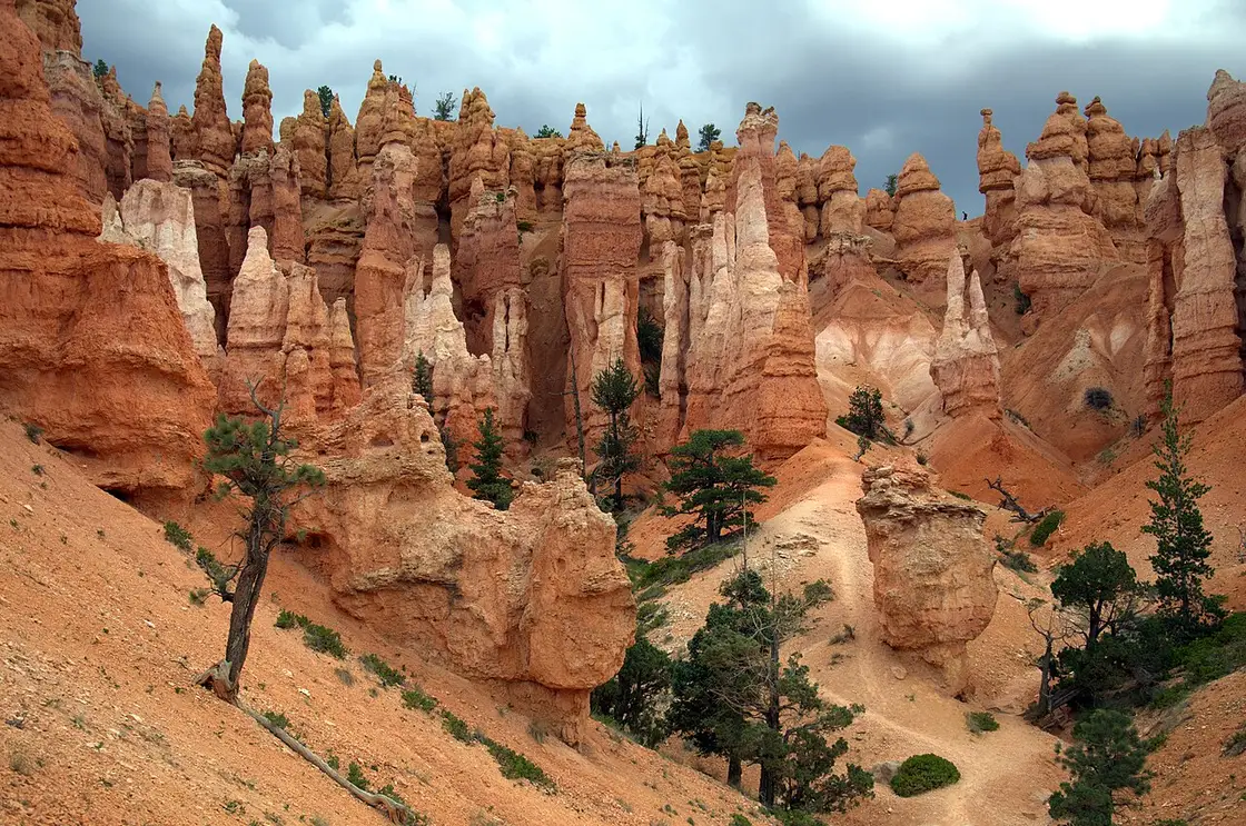 Looking down from the Bryce Canyon rim into a maze of hoodoos and fins