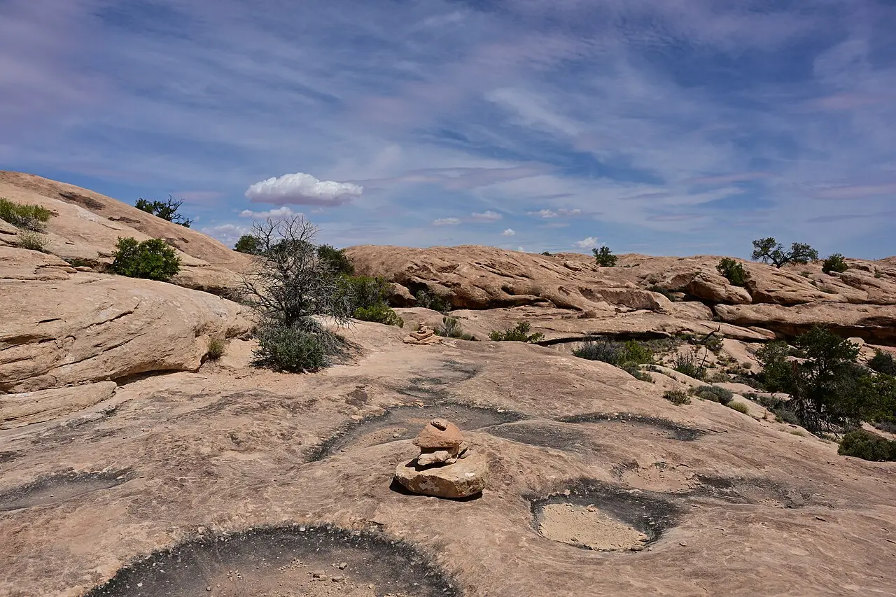 Slickrock and juniper trees along a trail in the Needles district of Canyonlands National Park