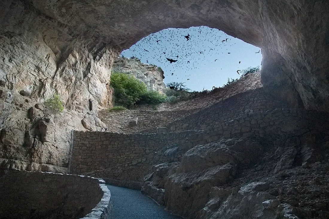 Bats streaming out of the Natural Entrance at dusk