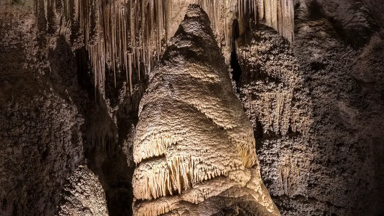 Stalactites and columns filling the Big Room at Carlsbad Caverns