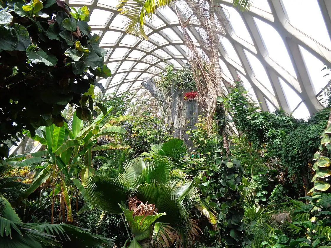Planted beds and glasshouse at the Denver Botanic Gardens
