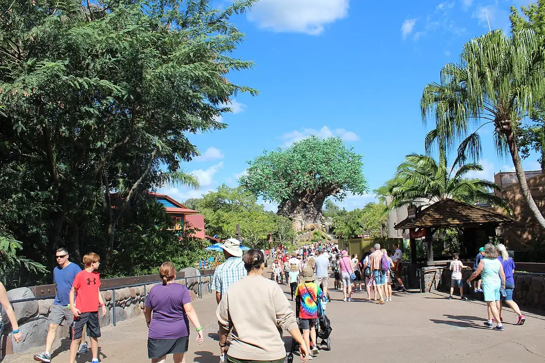 The Tree of Life sculpture at Disney Animal Kingdom with guests on the surrounding paths