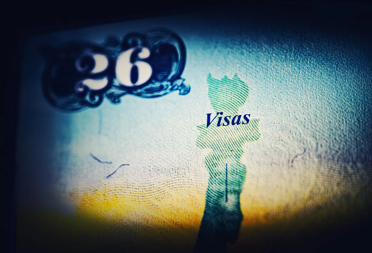 Close-up of the visa pages of a passport with entry stamps