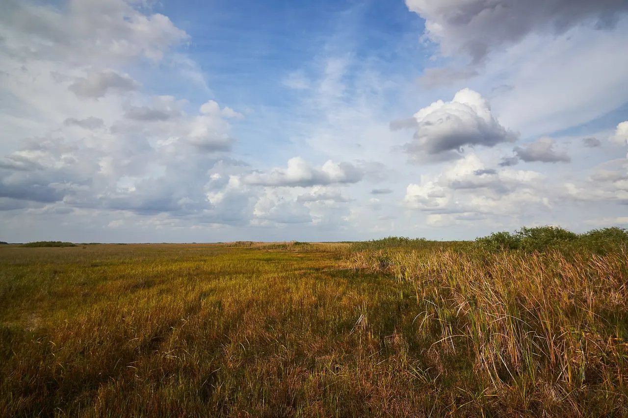 A sawgrass prairie stretching to the horizon under a wide sky in Everglades National Park