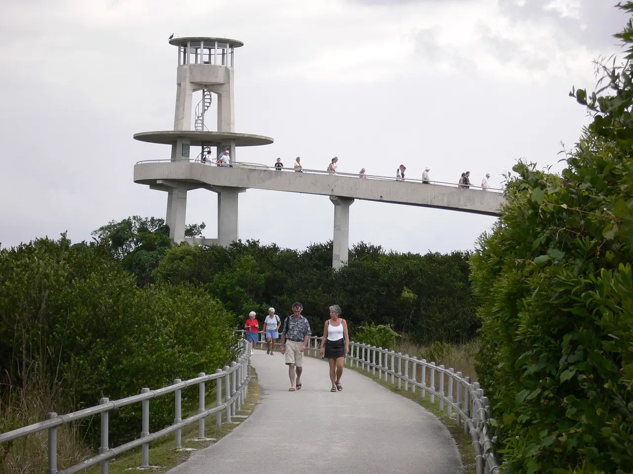 The Shark Valley observation tower rising above sawgrass in Everglades National Park