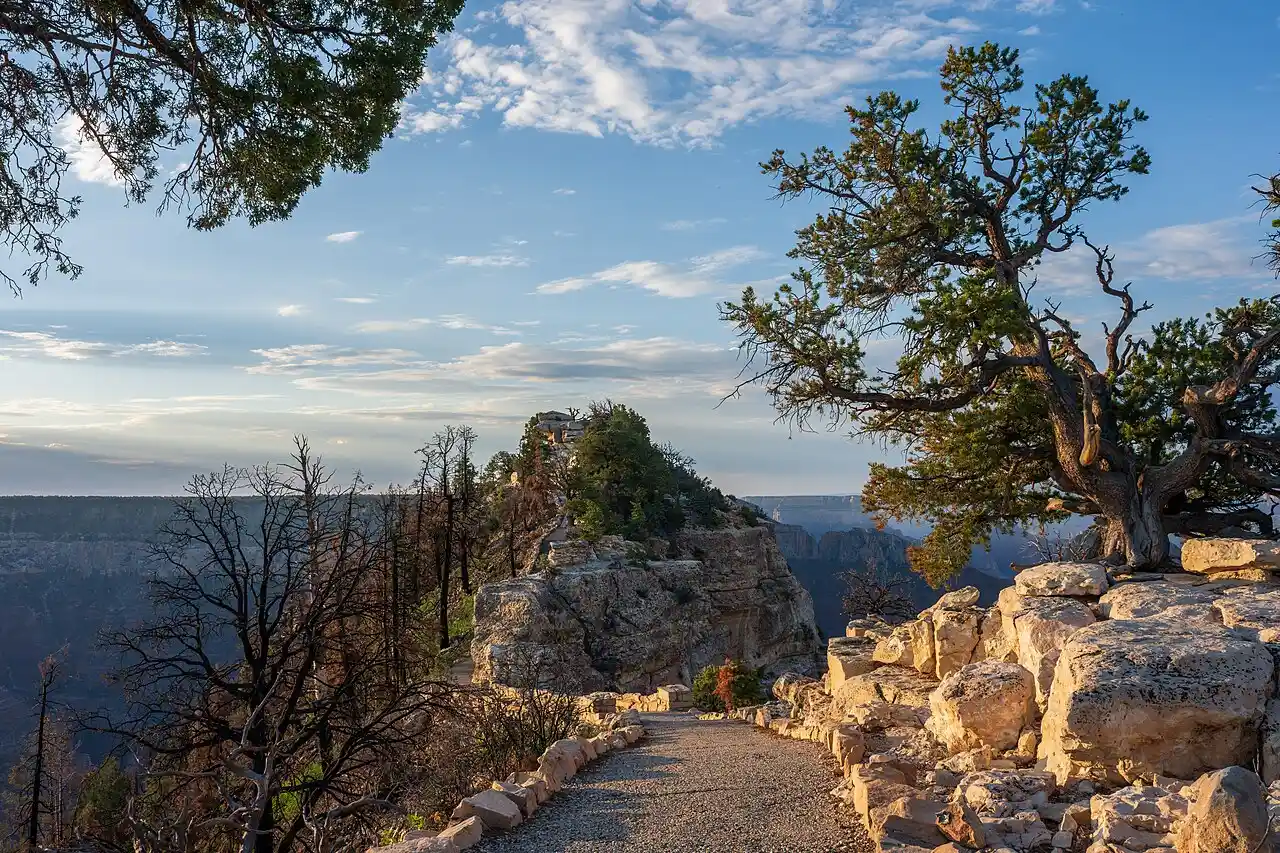 The trail to Bright Angel Point on the North Rim of the Grand Canyon at sunrise