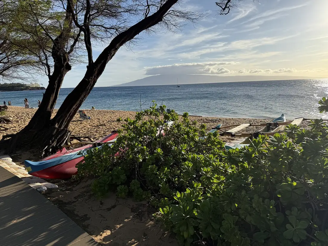 Long sandy Kaanapali Beach on Maui with calm water and resorts behind the palms