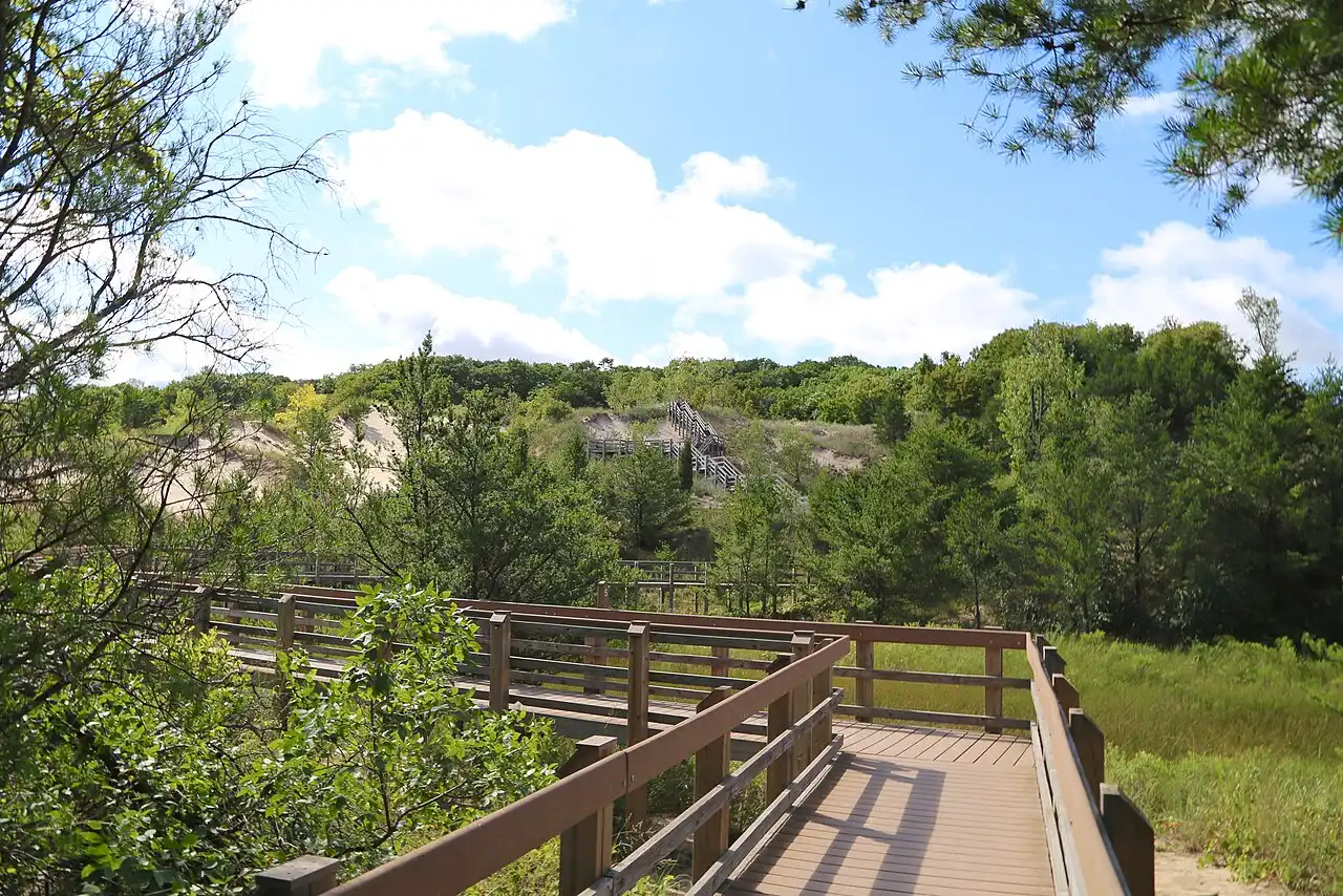 Boardwalk section of the Dune Succession Trail at West Beach