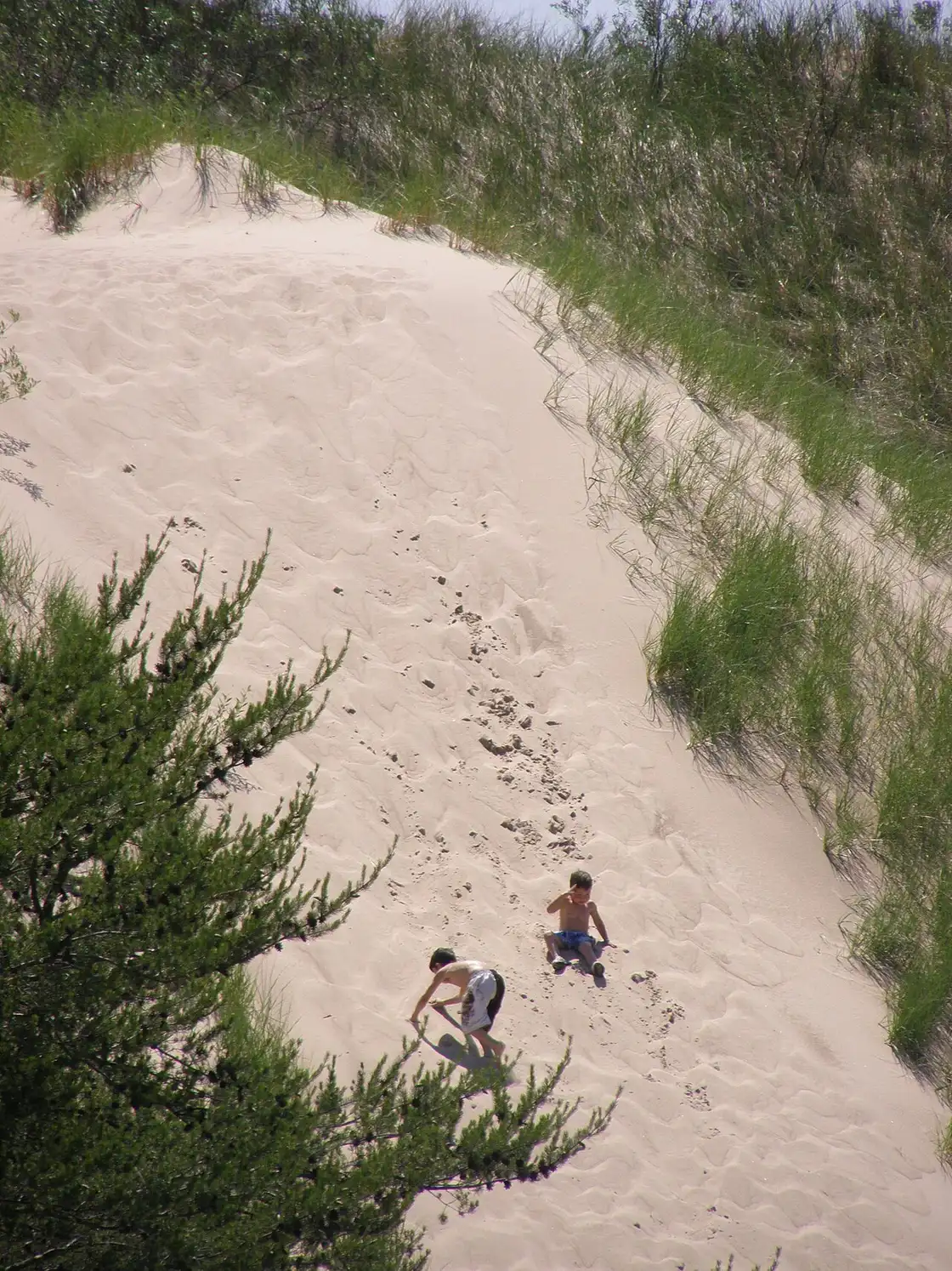 Steep sand stairs on the dune climb at West Beach Indiana Dunes