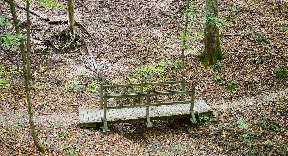 Wooden footbridge on a leaf-covered trail in Brown County State Park, Indiana