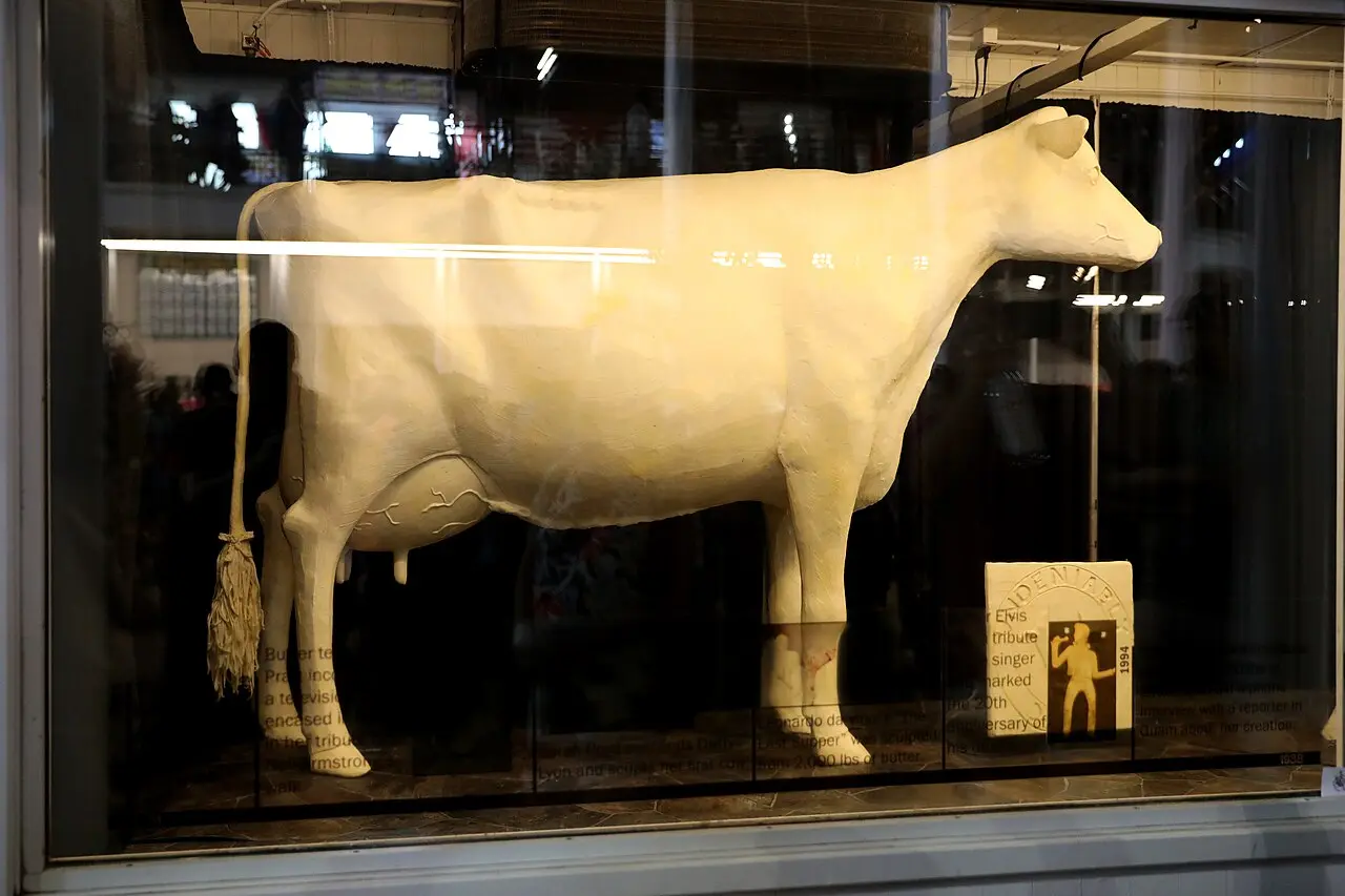 Traditional butter cow sculpture on display at the Iowa State Fair