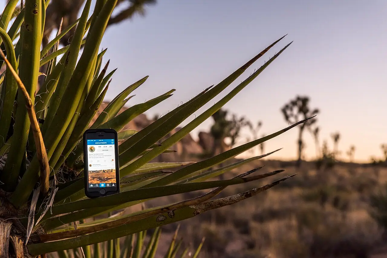Desert landscape and rock formations inside Joshua Tree National Park