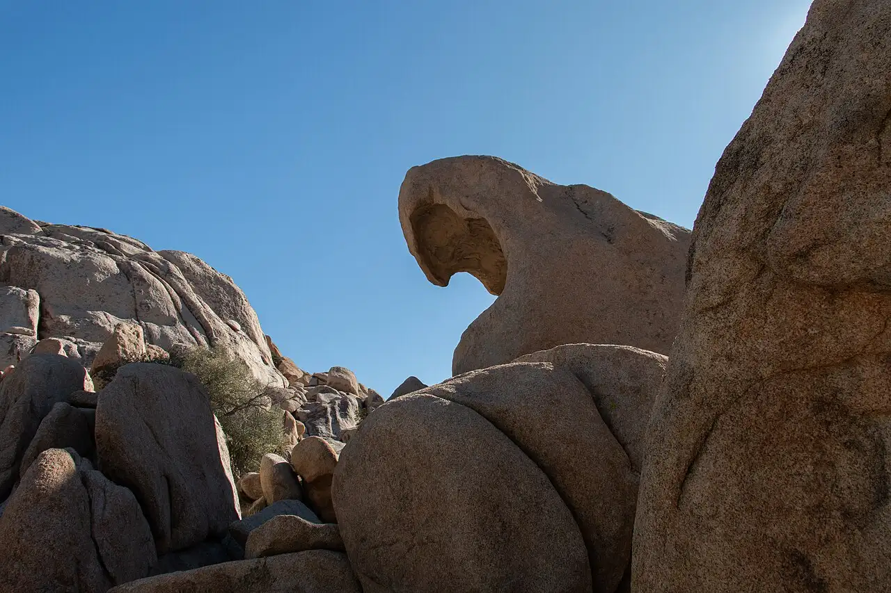 Wave-shaped granite rock formation in Joshua Tree National Park