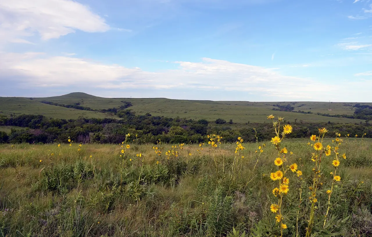 Green Flint Hills prairie ridges at Konza Prairie near Manhattan, Kansas
