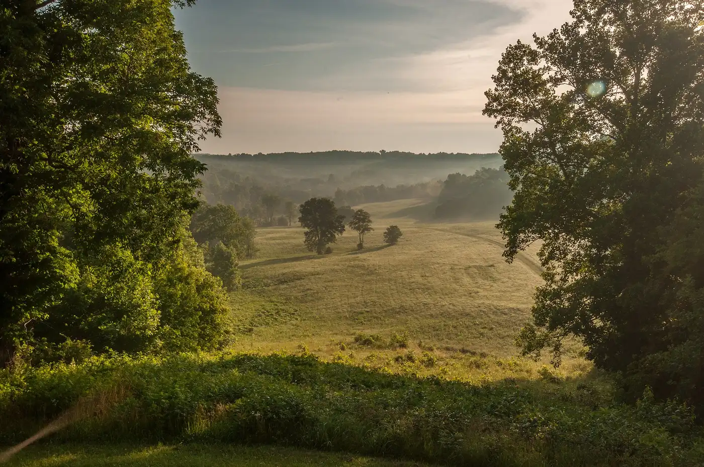 Rolling green farmland and morning fog in the countryside near Mammoth Cave, Kentucky