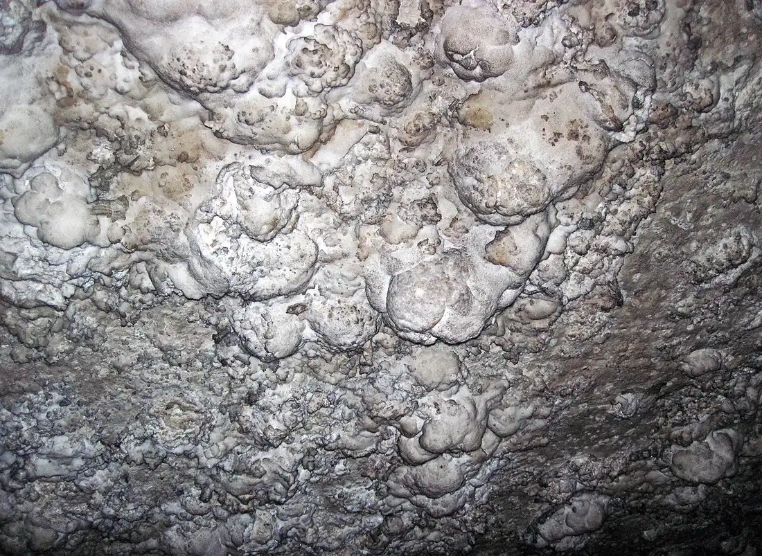 White gypsum mineral formations on the ceiling of Mammoth Cave in Kentucky