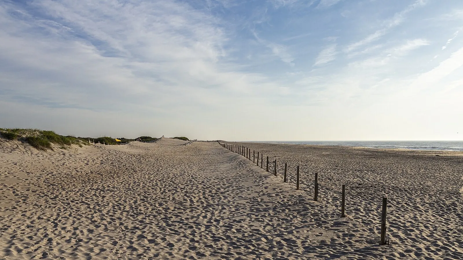 Sandy beach and dunes along Assateague Island on Maryland's Atlantic shore