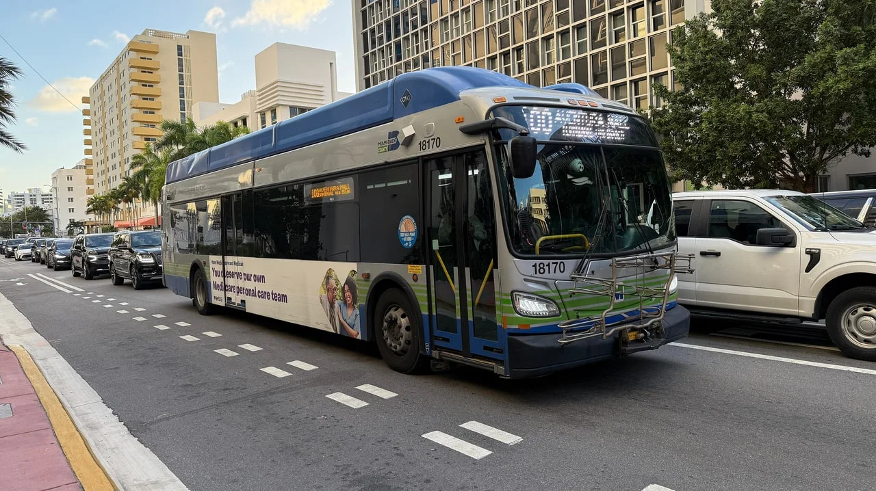 A Miami-Dade Metrobus heading north on State Road A1A in Miami Beach, with palms and apartment blocks lining the street