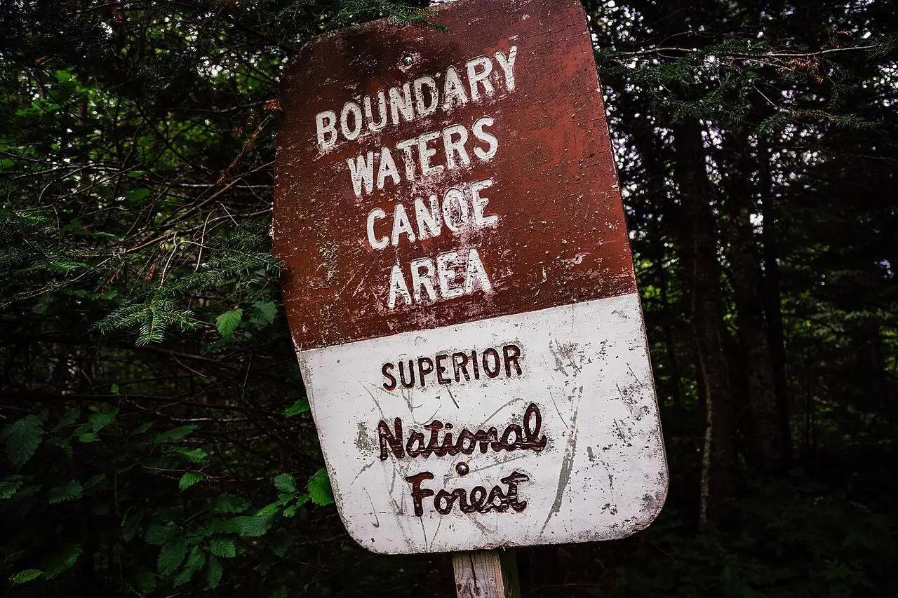 Canoe portage trail through pine forest in the Boundary Waters Canoe Area
