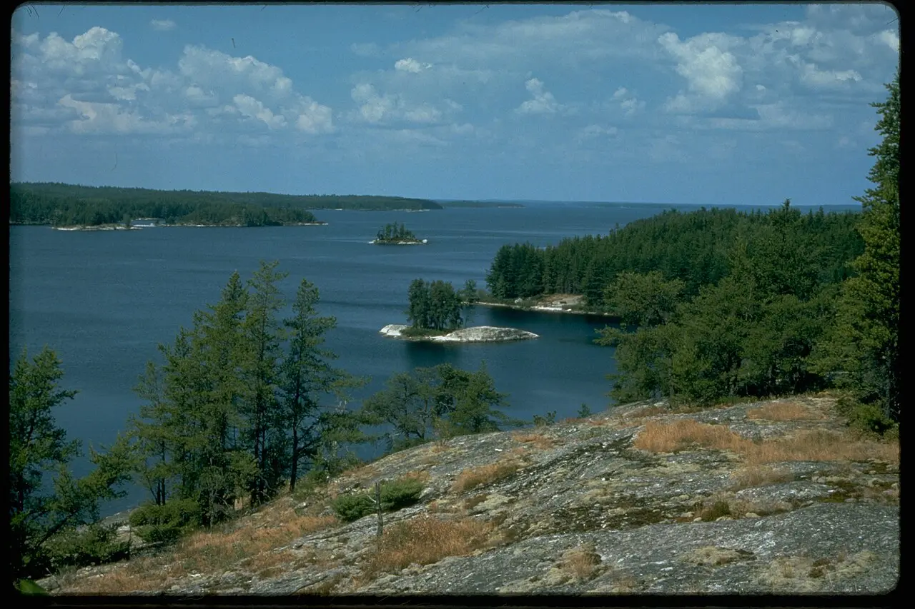 Rocky shoreline and pine trees at Voyageurs National Park in Minnesota