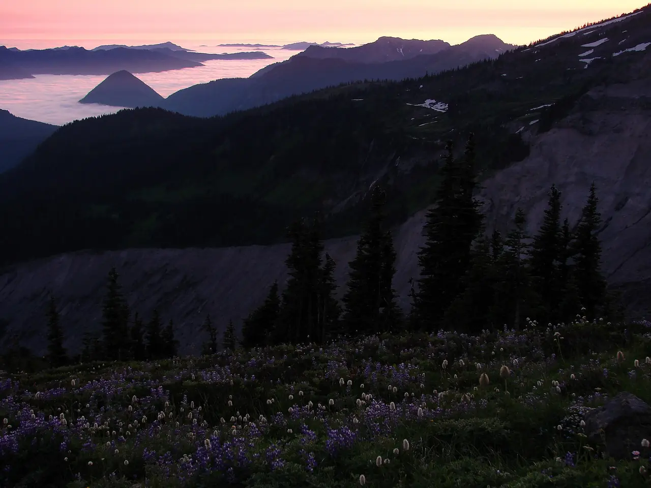 Looking across snowfields and rock toward Mount Rainier from Glacier Vista
