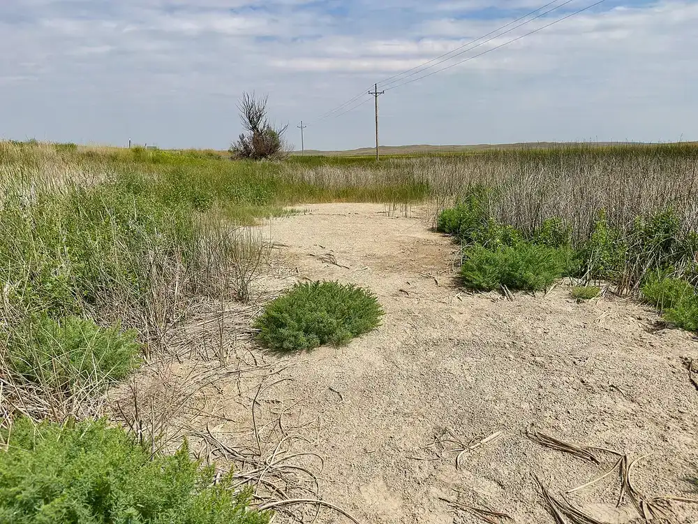 Alkaline lakes and dunes in the Nebraska Sandhills