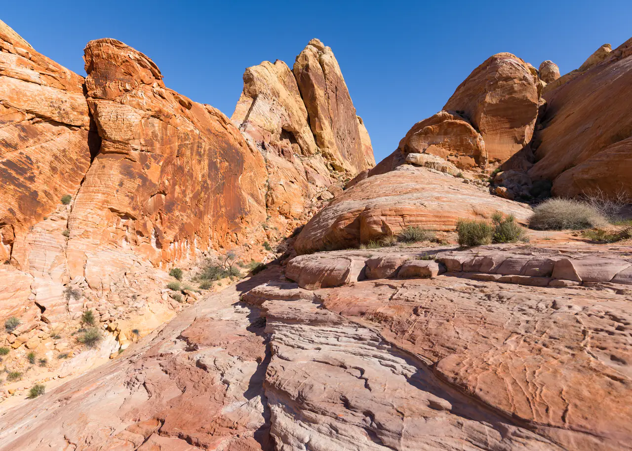 Sandstone formations and desert scrub at the start of the White Domes Loop in Valley of Fire State Park