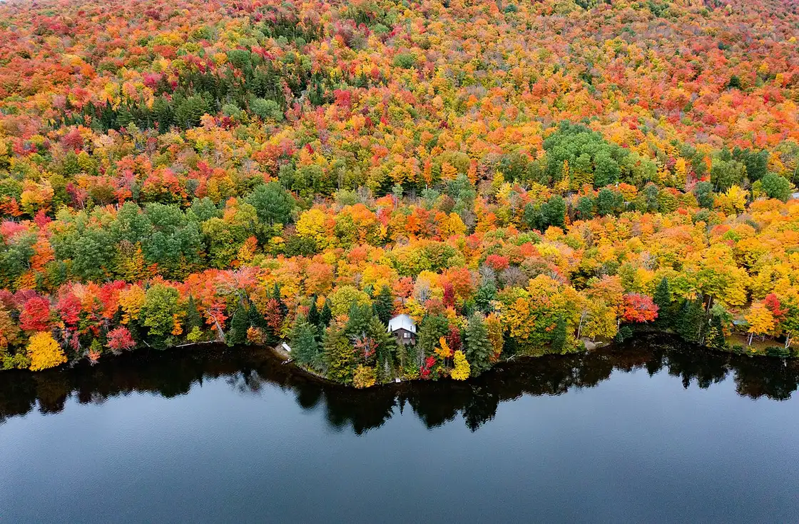 Bright red and orange trees along Norton Pond in Vermont's Northeast Kingdom