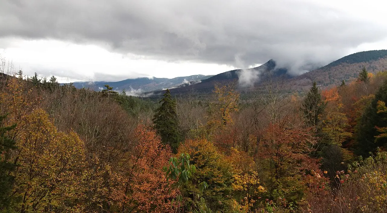 Autumn forest along the Kancamagus Highway in the White Mountains