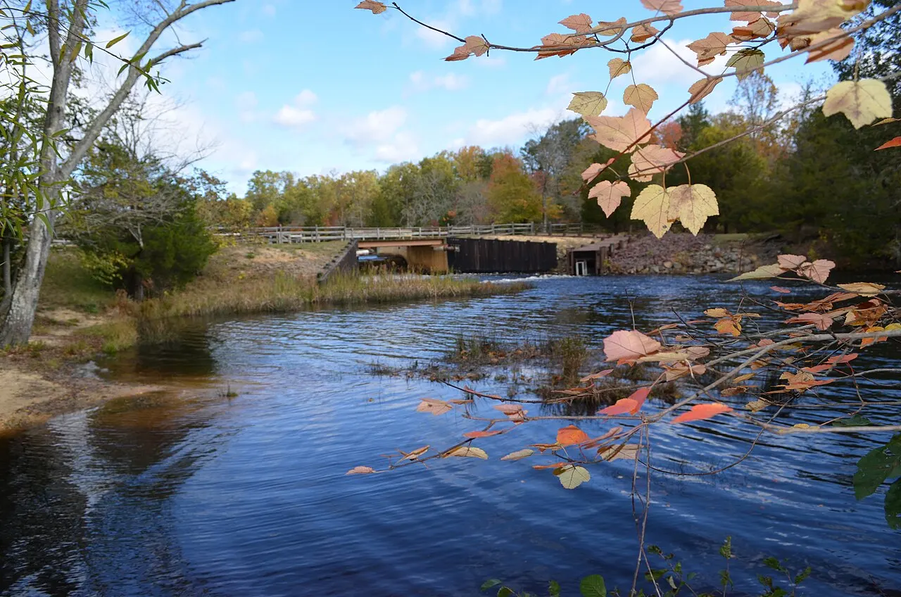 Dark cedar water at the Batsto Lake dam in the New Jersey Pine Barrens