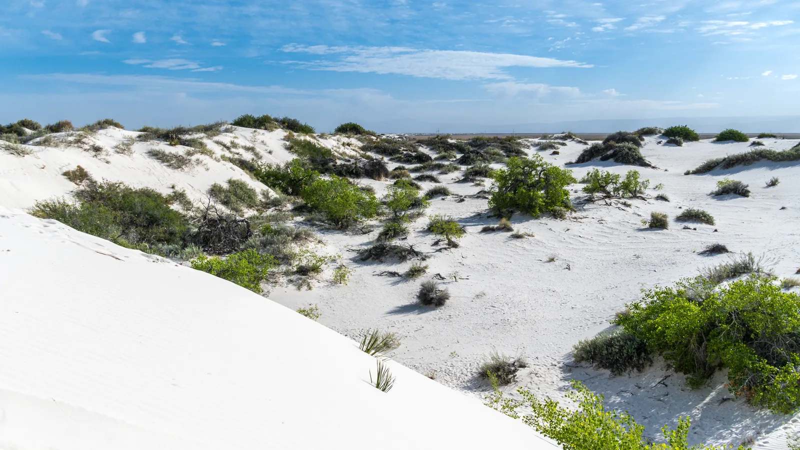 White gypsum dunes under blue sky at White Sands National Park, New Mexico