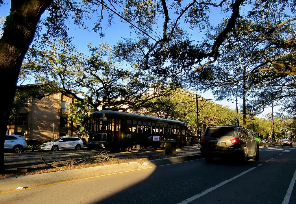 A green St. Charles Avenue streetcar under live oaks in uptown New Orleans