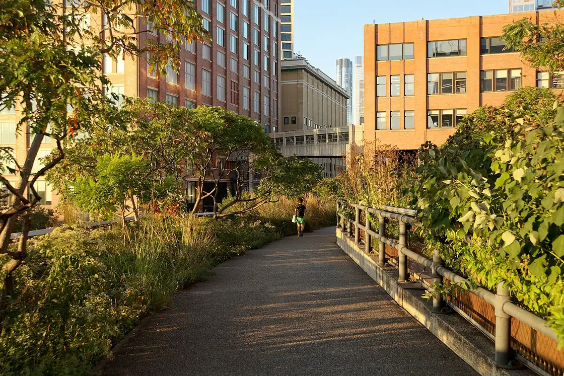 The planted walkway of the High Line elevated park between Manhattan buildings