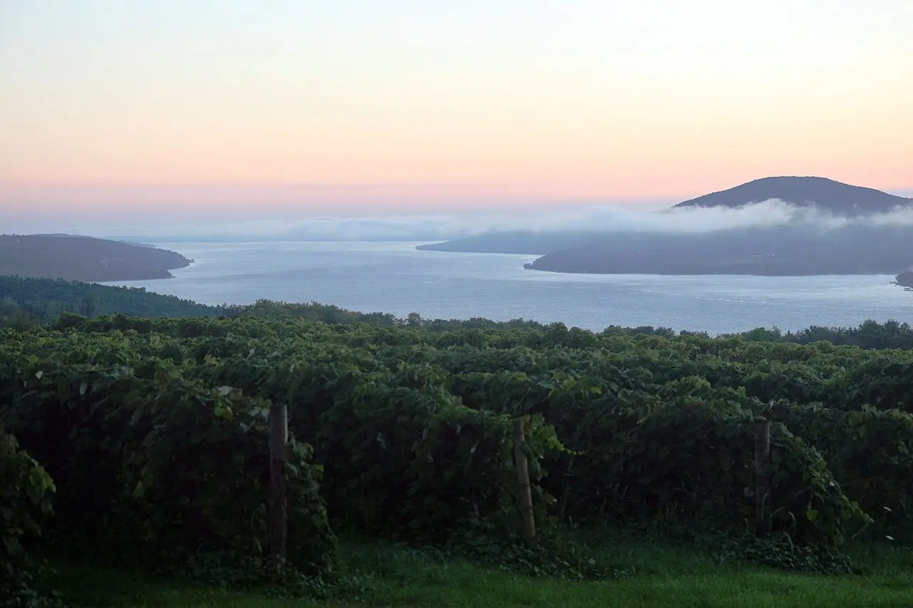 Sunrise over a hillside vineyard above one of the Finger Lakes in central New York