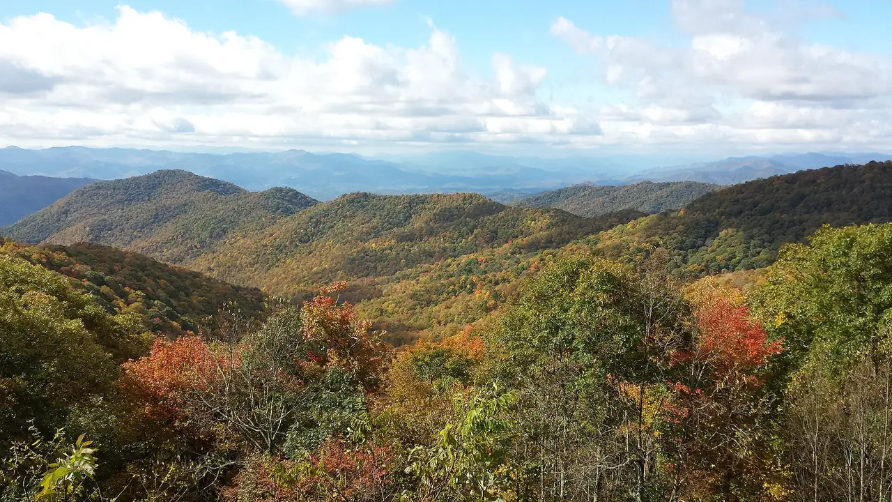 Fall color along a curve of the Blue Ridge Parkway in the North Carolina mountains