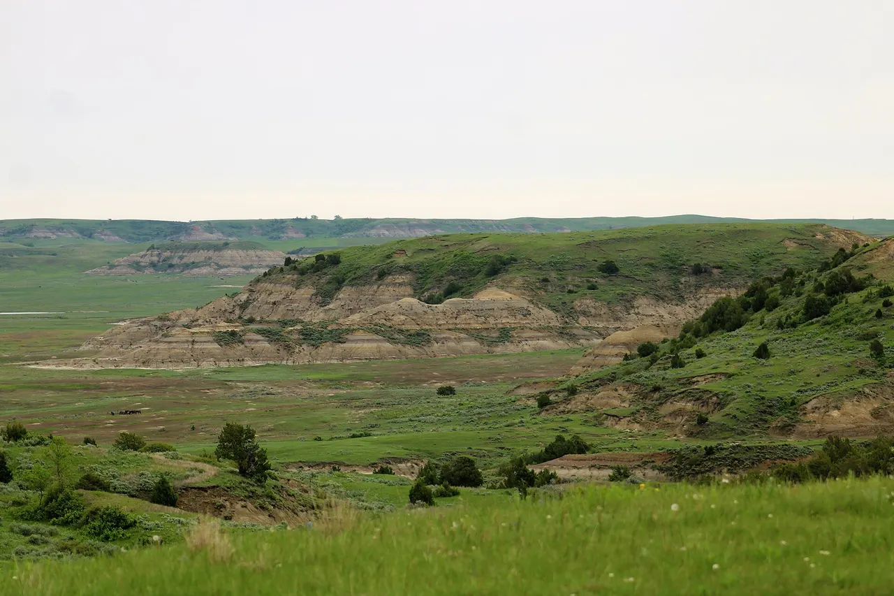 Eroded badlands buttes and soft evening light in the South Unit