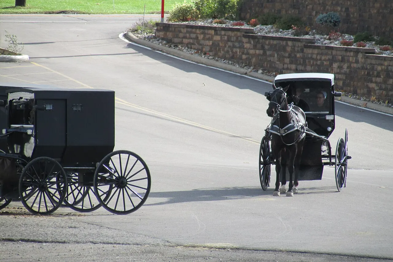 An Amish horse-drawn buggy parked next to another buggy in a lot near Ohio's Amish Country