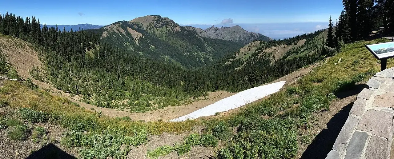 A wide panoramic view of forested peaks and a lingering snowfield from Hurricane Ridge in Olympic National Park