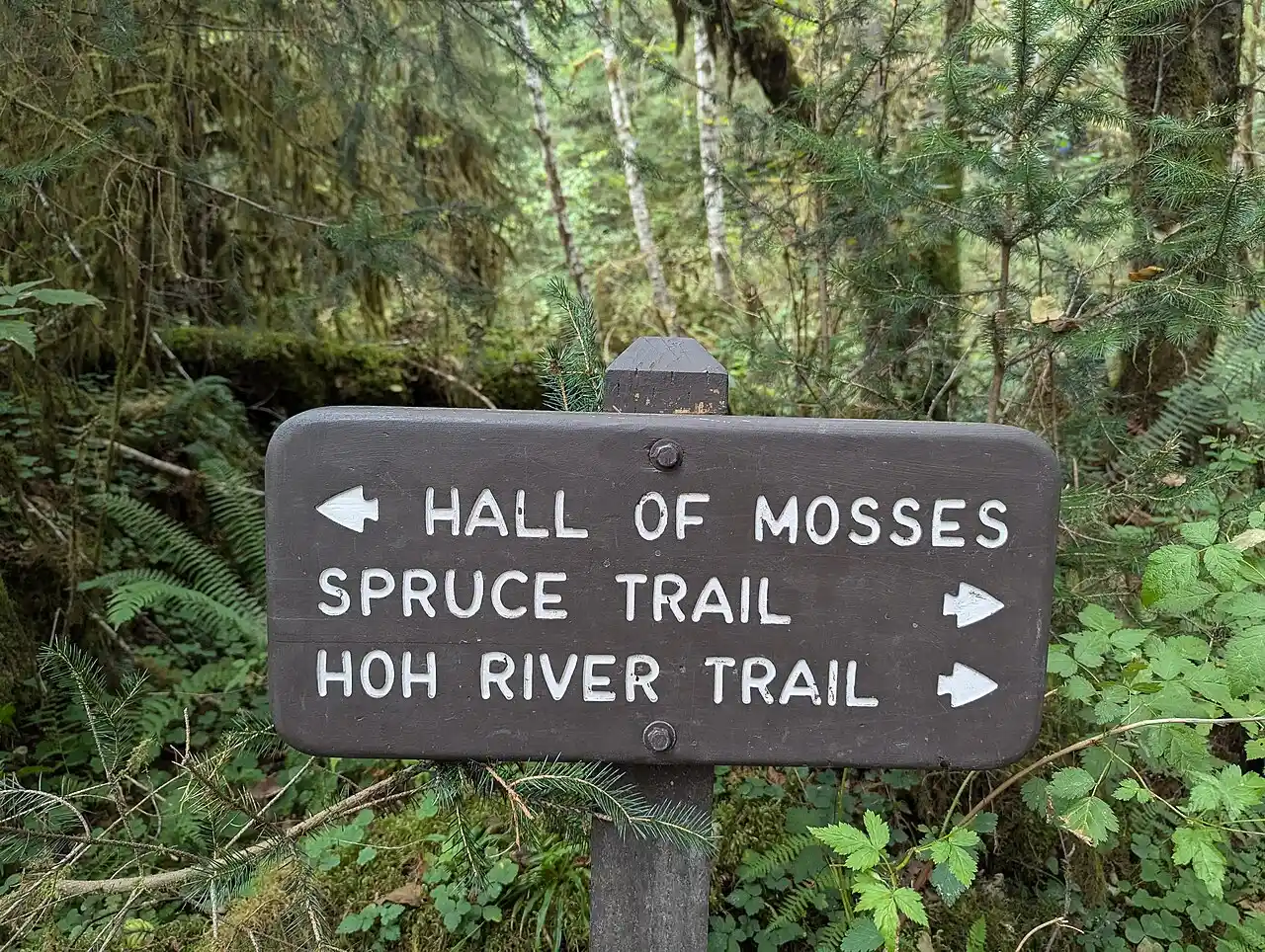 A wooden trail sign at the Hoh Rain Forest pointing to Hall of Mosses, Spruce Trail and Hoh River Trail