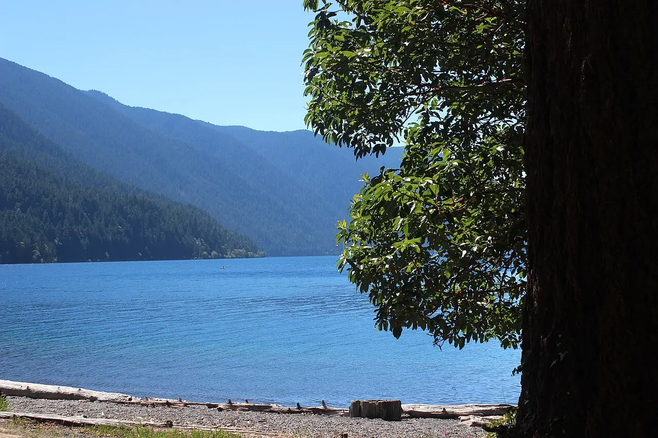 The clear blue water of Lake Crescent seen from the shoreline with forested mountains behind
