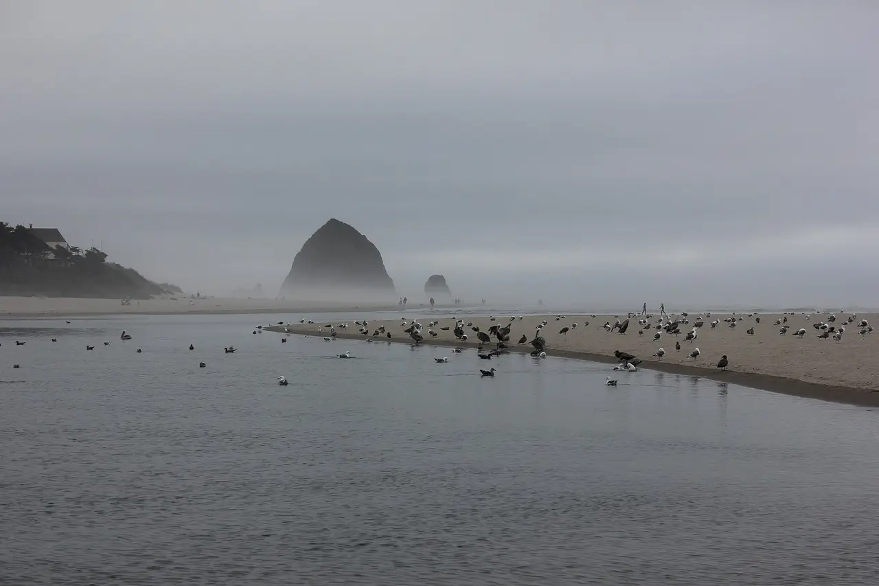 Haystack Rock standing in mist off the wide flat sand at Cannon Beach with gulls in the foreground