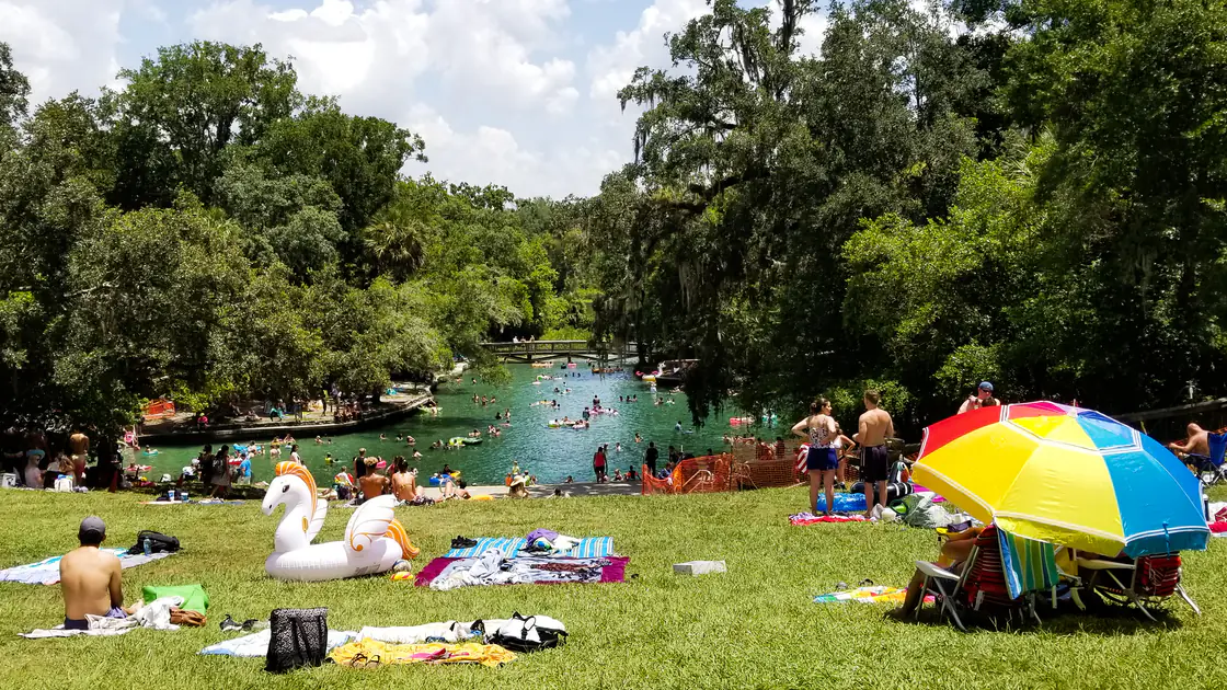 Clear water and shaded swimming area at Wekiwa Springs State Park
