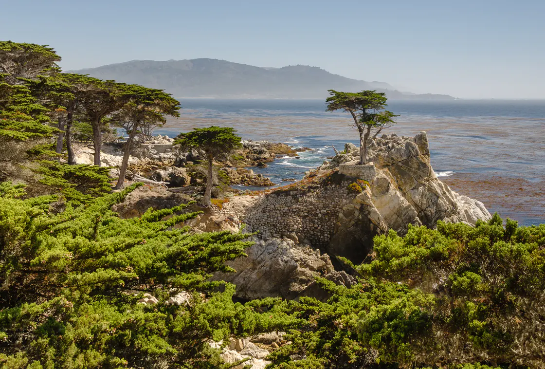 The Lone Cypress tree growing on a rock above the ocean on 17-Mile Drive