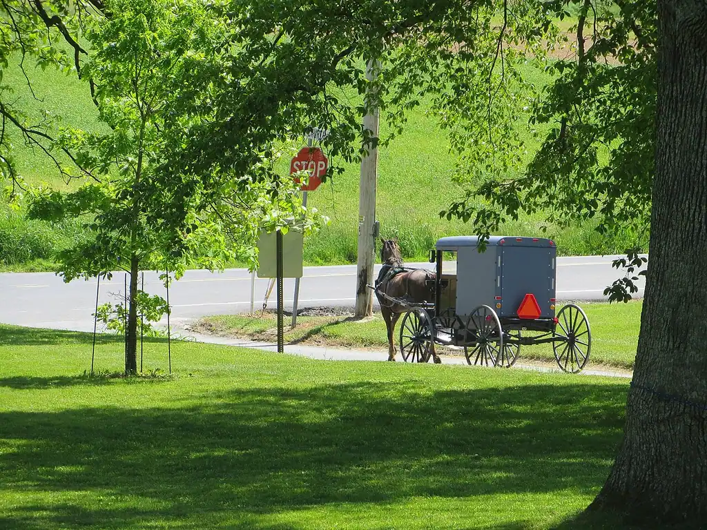 A black Amish buggy on a rural road in Lancaster County, Pennsylvania, with farm fields behind