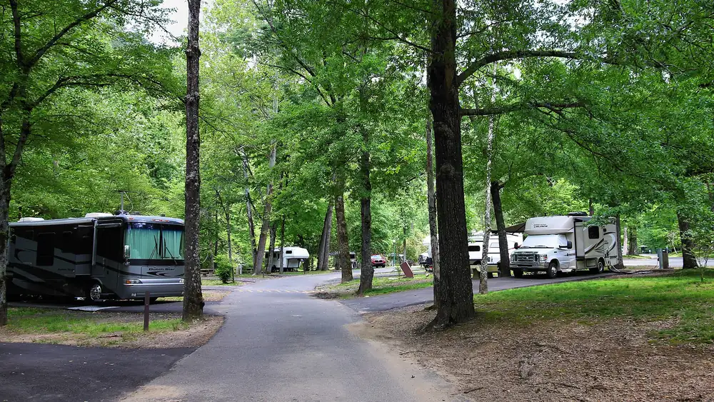 RVs parked at campsites in a wooded national park campground